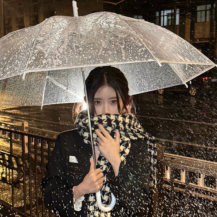 公主闹双包：变身计划